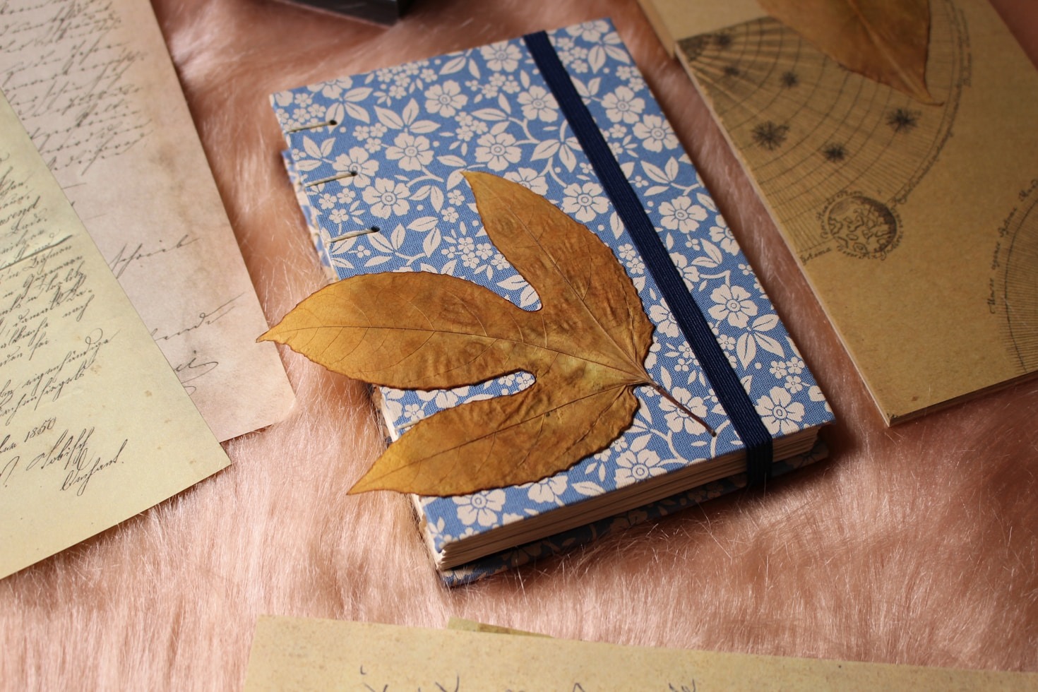 Lessons Learned from Unexpected Adventures